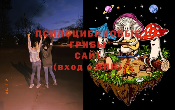 ешки Алексеевка