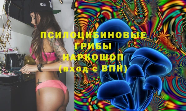 ешки Алексеевка