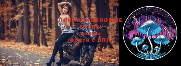 ешки Алексеевка