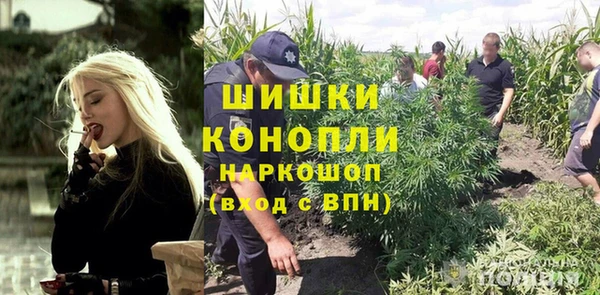 ешки Алексеевка